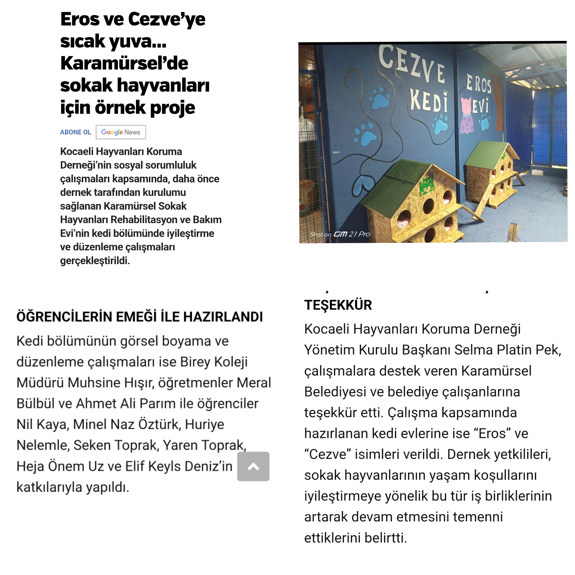 Sokak Hayvanları İçin Örnek Projede Birey Desteği 